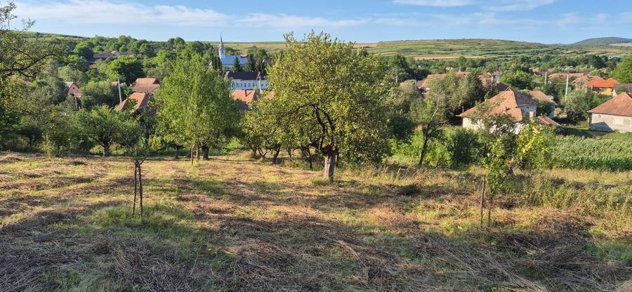 Vind casa Filea de Jos , teren suprafata 1800mp - 8