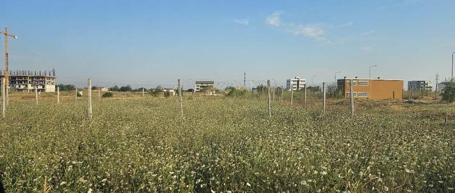 Teren Veterani/ colt - 1