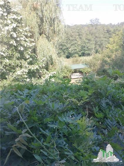 Casa de vacanta in Arges - 15