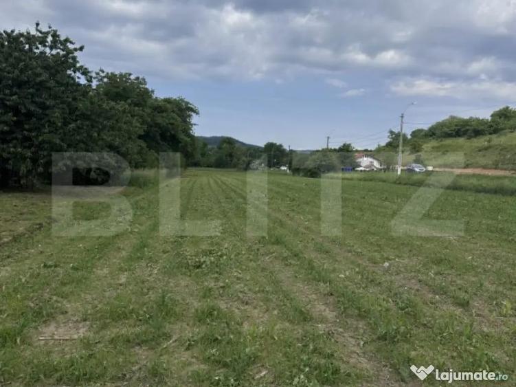 Teren intravilan, 5.800 mp, zona Ca?cau - 1