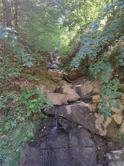 RECO Apartament cu doua camere in Padurea Neagra - 5