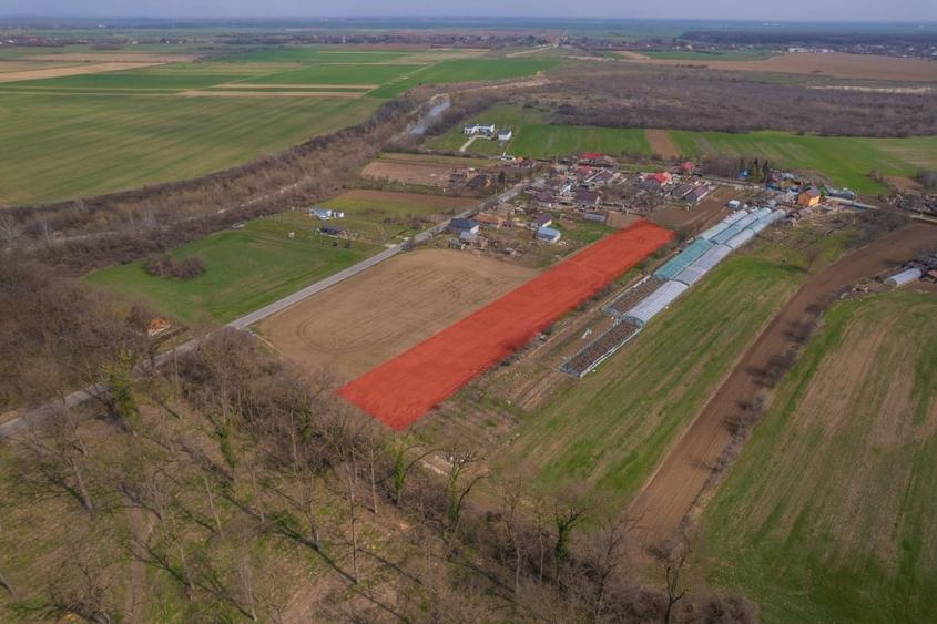 NUCI - BALTA NEAGRA, LOT 3080 MP, LA PADURE! - 8