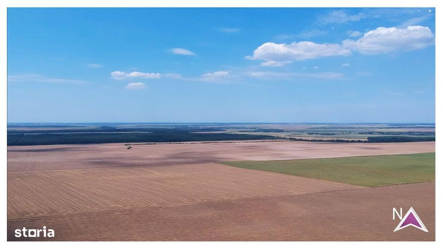 Ocazie dezvoltare - teren 8 parcele - zona premium natura(Frumusani) - 3