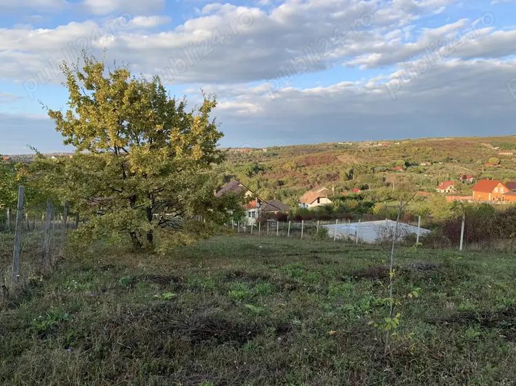 Ichiriez Teren ingradit cu apa si canalizare Oradea, str. Sofiei - 8