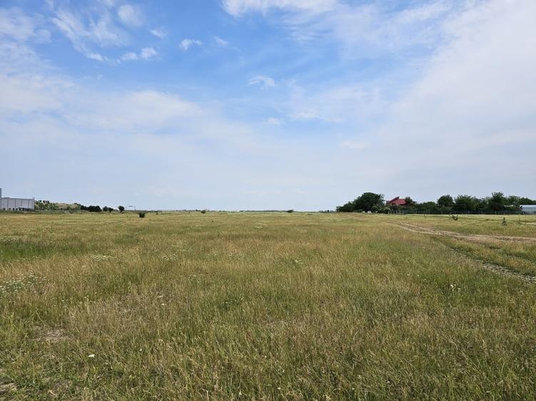 3000 m2 plasat exceptional, vest de Voluntari - 7