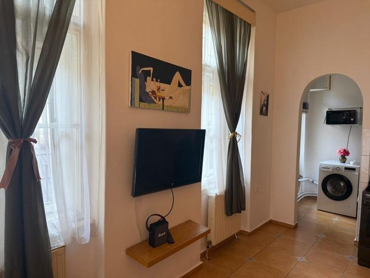 Apartament deosebit in palat istoric - 4