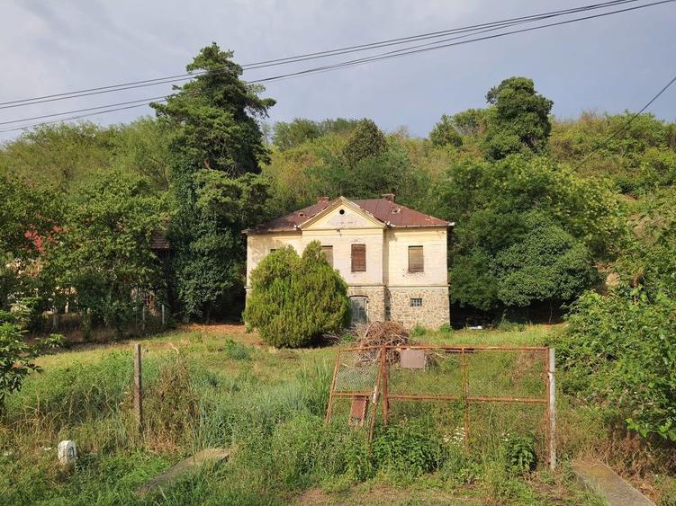 Conac pe Drumul Vinului-Paulis - 8