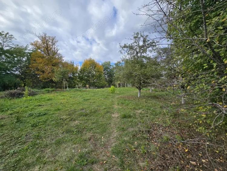 Casa Centrala Curtea de Arge?, Teren 2.211 mp - 11