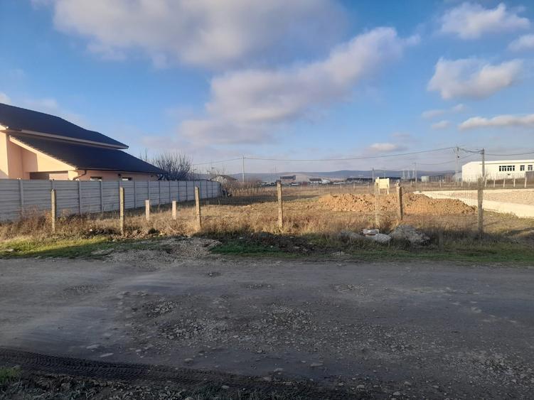 Vand teren Osorhei - 4