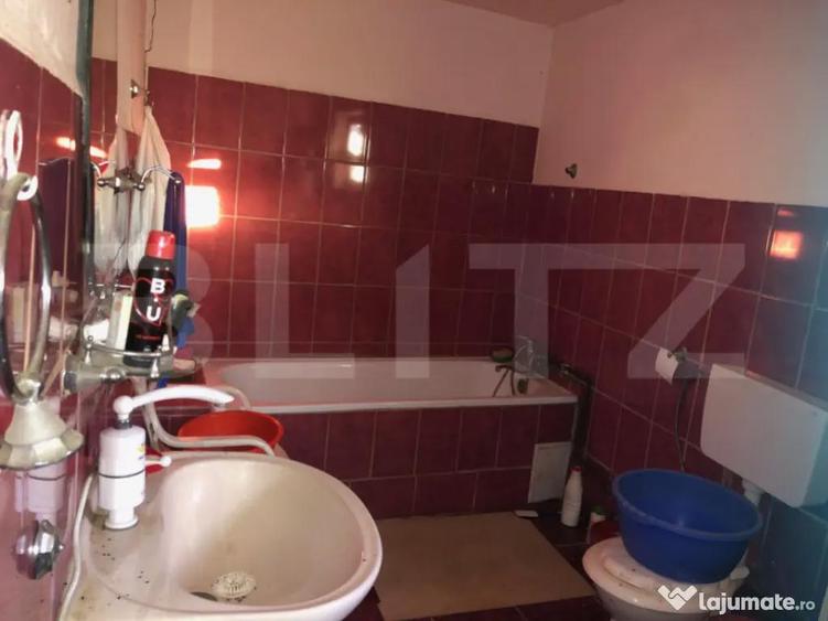 Casa batraneasca, 1500 mp teren, comuna Pomi - 8