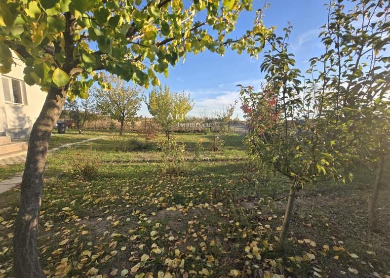 Casa 3 camere si curte cu pomi fructiferi - 14