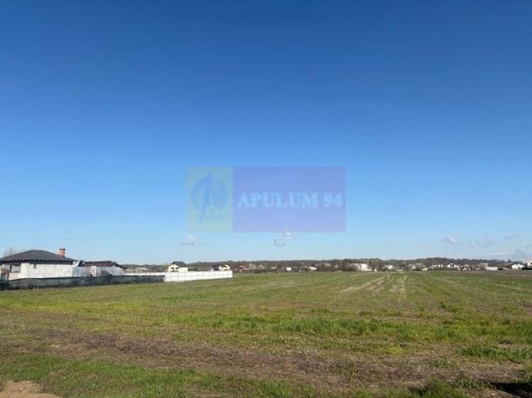 Teren Soseaua Clinceni- Ordoreanu stradal. - 3