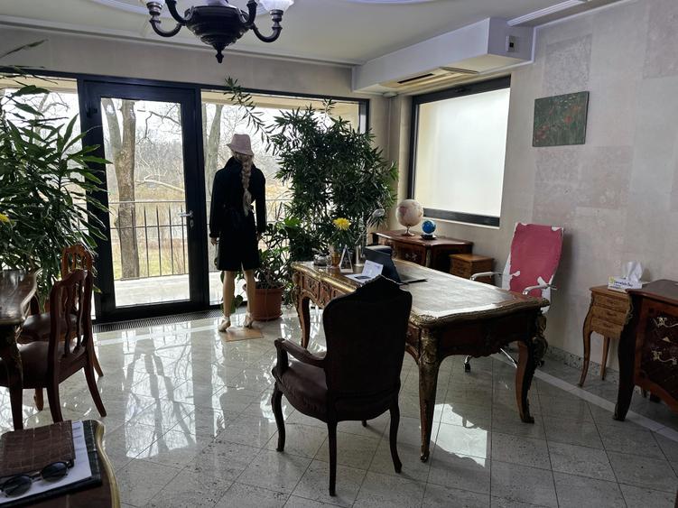 Reședință exclusivistă pe malul lacului - Exclusive Residence on the Lakefront - 23