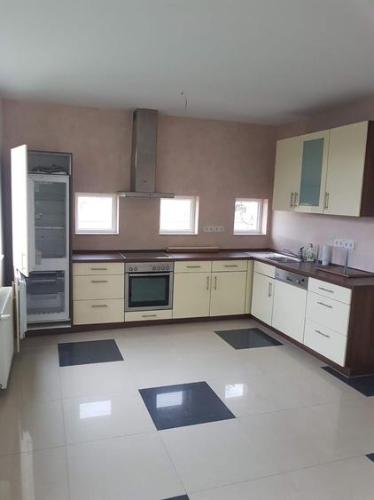 Casa de inchiriat individuala MOSNITA NOUA - 6