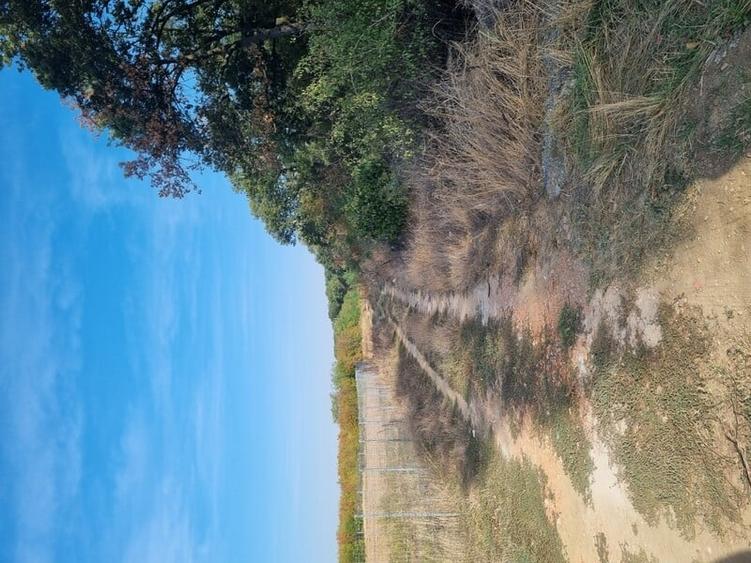 Vanzare Teren  Industrial Pantelimon Cernica 10000mp - 3