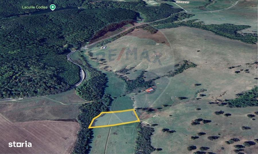 Teren 10,000mp Codlea / DN 1 - 3
