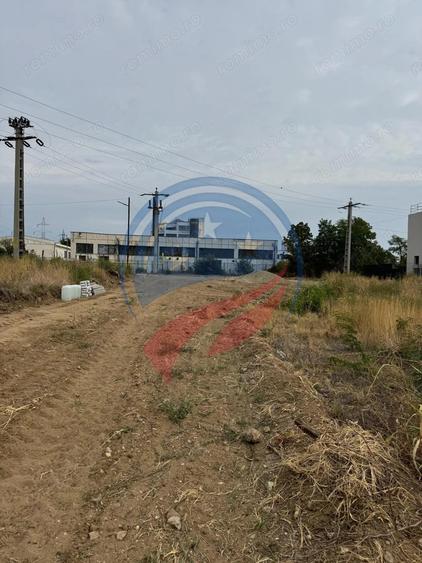 Parcele de teren/Str Ficusului/Damila/Craiova - 3