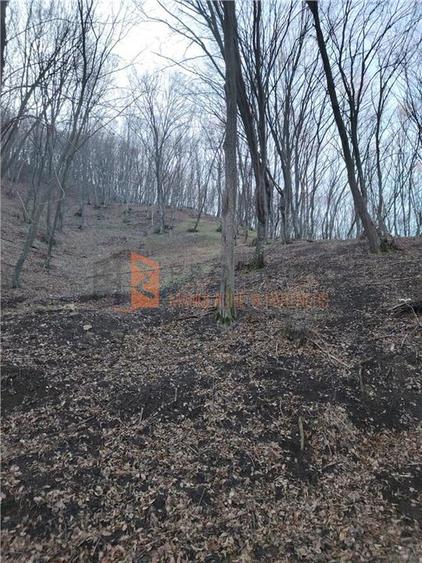 Teren intravilan zona Monteoru - 7