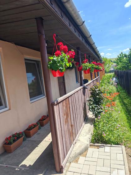 Casa de vanzare! - 4