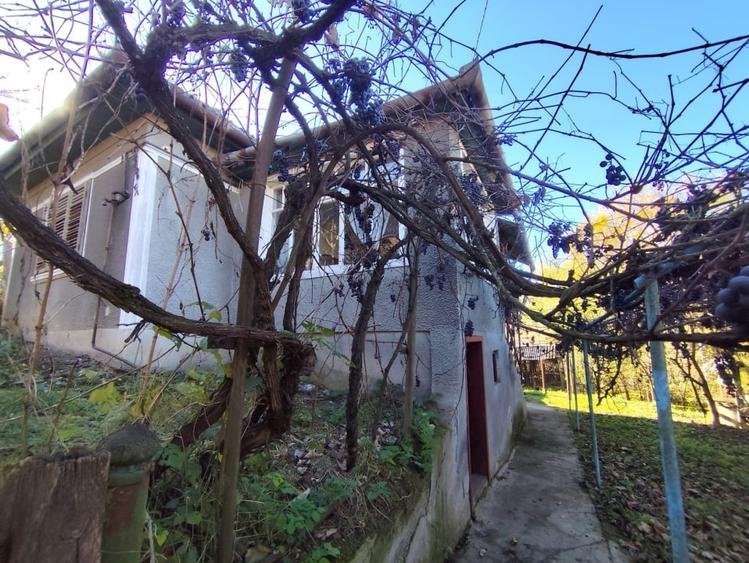 Casa Individuală 3 camere| 769 mp teren| zona Blaj - 1