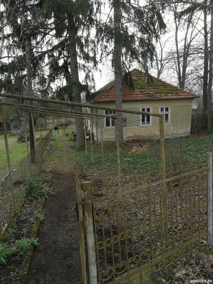 Va d casa la tara 5800 mq - 4