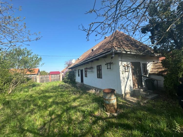 Casa Individuala Ozun Covasna teren 3200 mp - 7