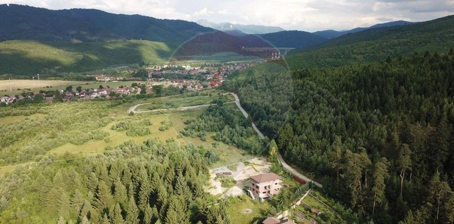 Comision 0%! Teren Sacele / Strada Valea Larga 2000 mp - 1