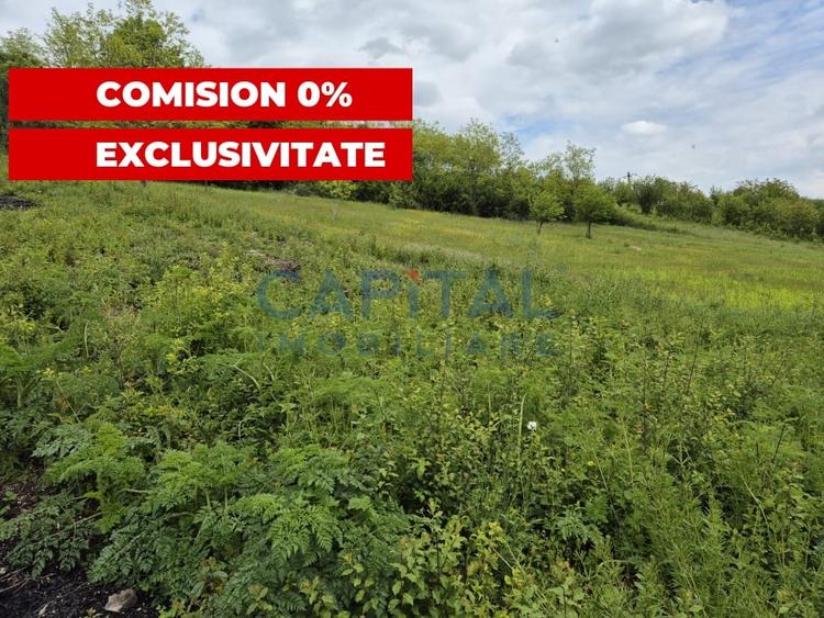 Teren intravilan, 1663 mp, central Dezmir - 1