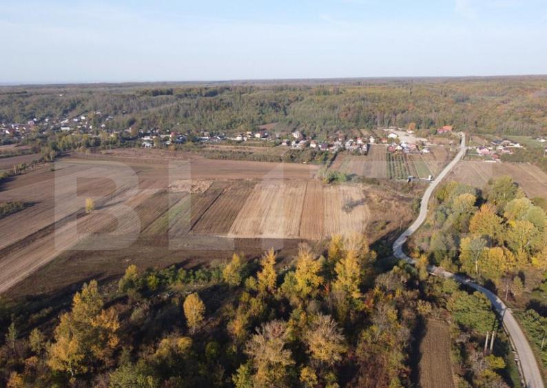 Proprietate de vanzare, 1000 mp, sat Garleni - 10