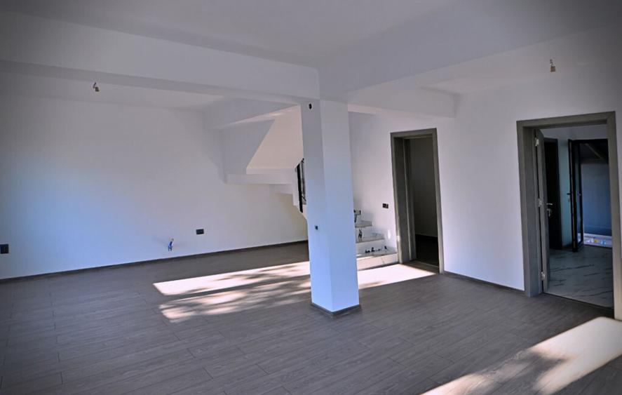 Case P+1 Paulesti - 11