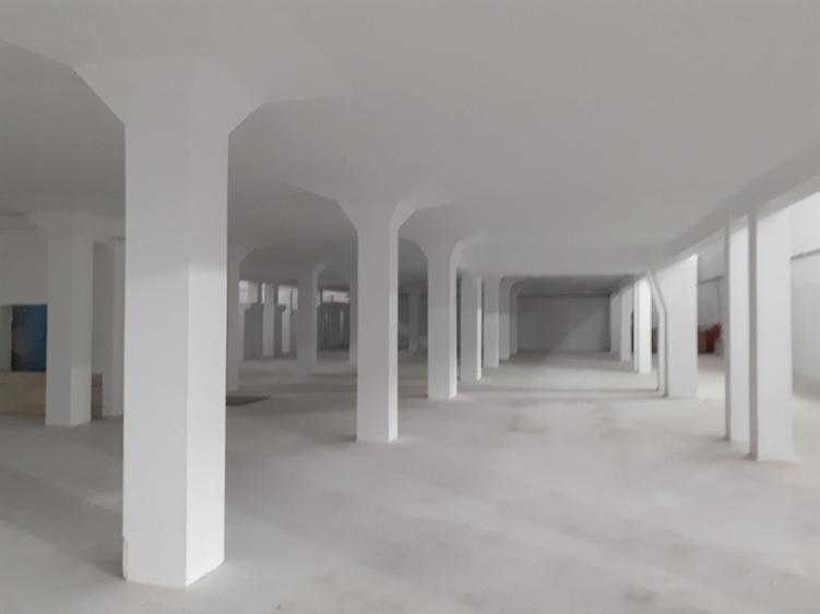 Zona Progresul - hala industriala renovata - 1