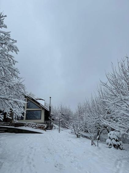 Pucioasa vila eleganta la doar 30 km de Sinaia - 8