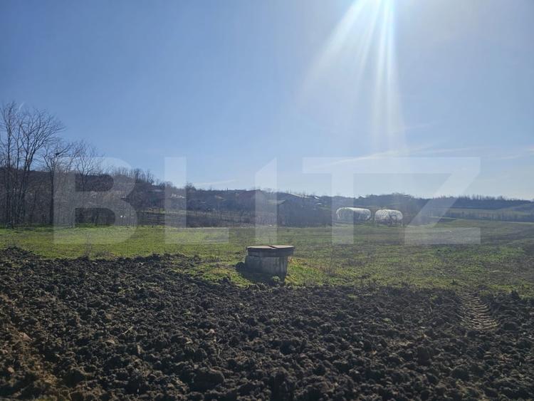 Teren intravilan, suprafata 7850 mp, zona Cornetu - 2