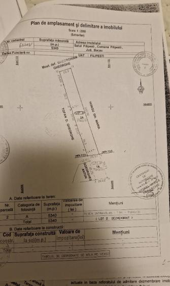 Teren intravilan de vanzare in Filipesti - 3