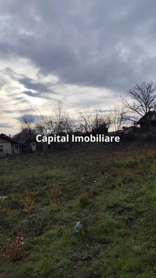 Teren Intravilan Baicoi 1061 mp - 2