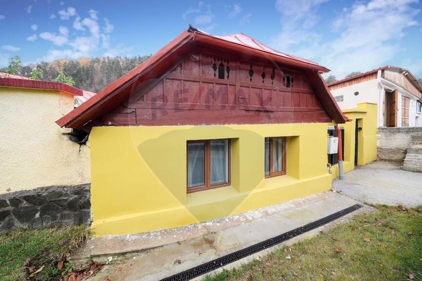 Casa individuala- Pretabila pentru Regim Hotelier - Centrul Istoric! - 17