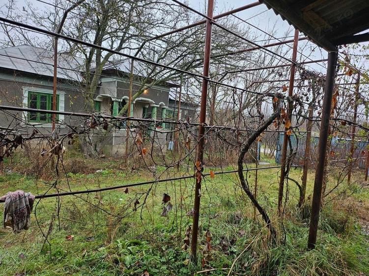 Gospodarie cu 2 case Comuna Trivale Mosteni, sat , la 30 km de Alexandria, jude?ul Teleorman - 1