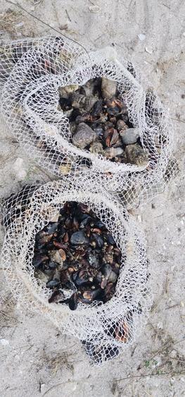 Vanzare 10000 mp plaja virgina,Constanta Vadu la Cherhana Bosoanca drum pietruit - 7