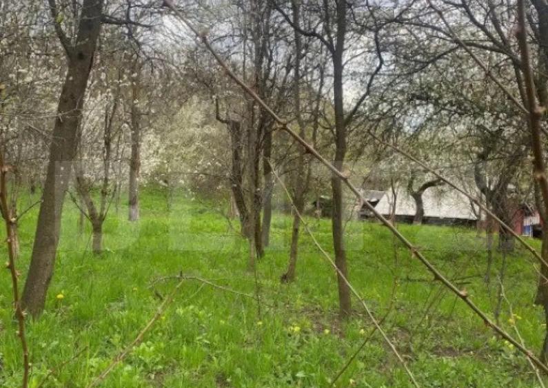Teren 784 mp, Nistoresti, jud Prahova - 1