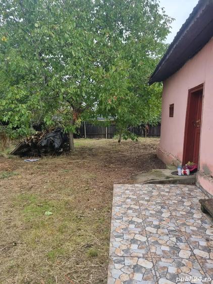 Casa de vanzare la tara - 7