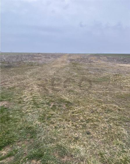 RECO Teren intravilan in Livada de Bihor 1000mp - 3