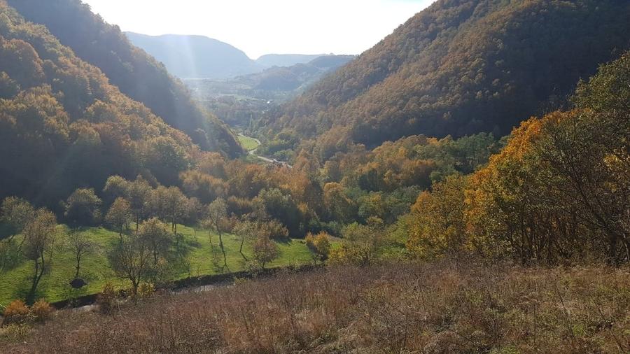 Hărțagani, teren intravilan 8500 m2, acte, superb, liniste, eco - 3