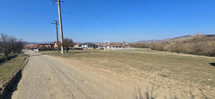 Teren 4 362 Mp Intravilan de Vanzare, Str Caprioarei, Sangeorgiu de Ms - 1