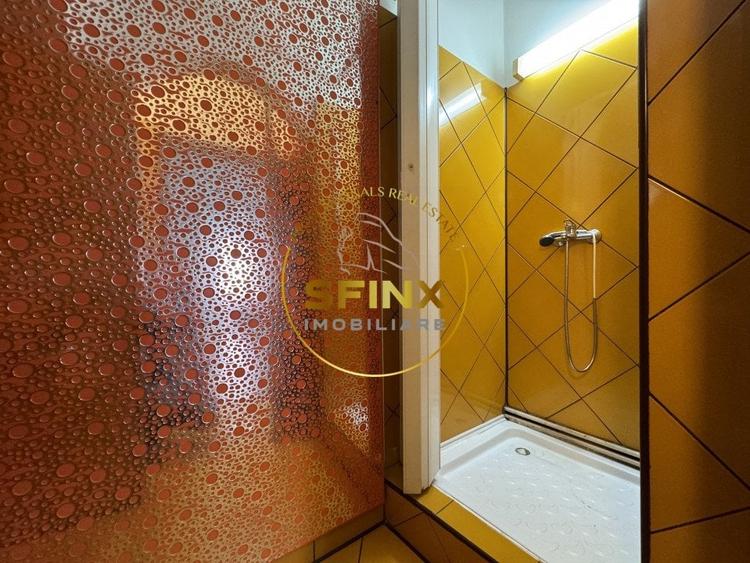 Cladire mixta 362 mp in zona Dacia, 3 intrari separate - 14