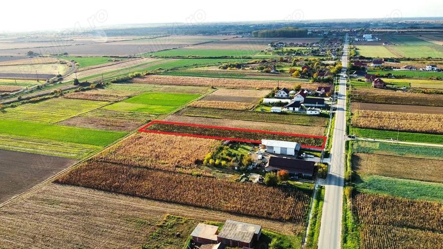 Teren intravilan de vanzare 3000 mp, Botiz, str. Sirul Mare, la doar 7 km de centrul Satu Mare - 1