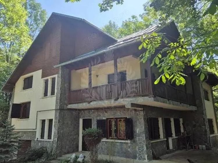 CASA DE VACANTA//CORNU DE JOS - 8