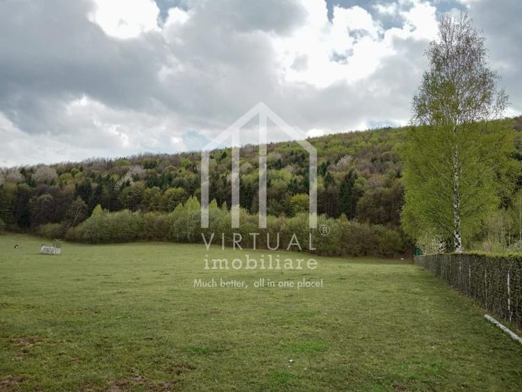 Teren intravilan de vanzare in Tocile, 3862 mp, priveliste spre padure - 8