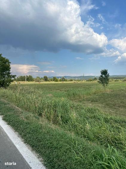 Teren pentru hala, logistica sau parc auto 72 ml la DN, Stuparei-VL - 1