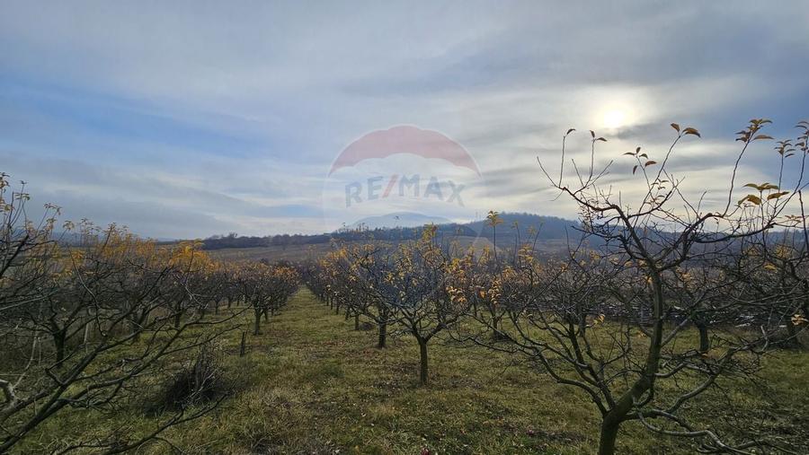 Teren extravilan 10,791mp Falticeni / Strada DJ209A, Opriseni - 7