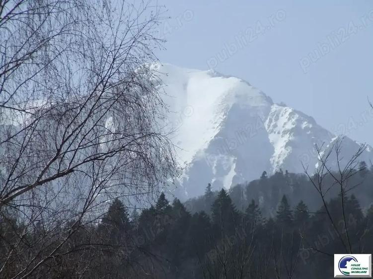 Teren situat in Predeal - 4